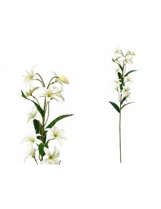 VARA LILIES R/T X 12-74 CM (BLANCO)