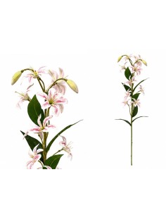 VARA LILIES R/T X 12-74 CM (ROSA)