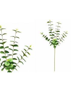 VARA EUCALIPTO X 5 - 88 CM (VERDE/CL)
