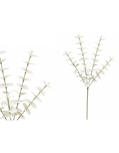 VARA EUCALIPTO X 5 - 88 CM (BLANCO)