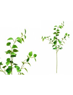VARA PHILO X 3 - 80 CM (VERDE)