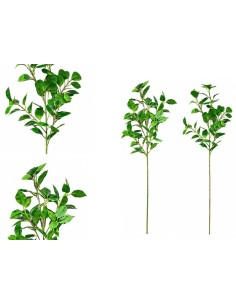 VARA FICUS-GINKO R/T X 47 - 76 CM (S)